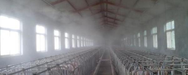 养殖场除臭剂与生物除臭设备 安全性解析与环境效益